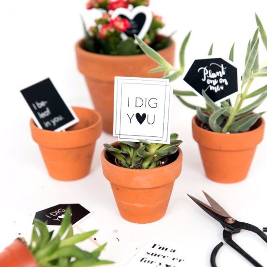 Home | Achin' Back Garden Center Online Store